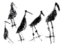 bird petroglyph Dominican Republic