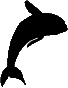 whale