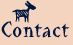 Contact Ann